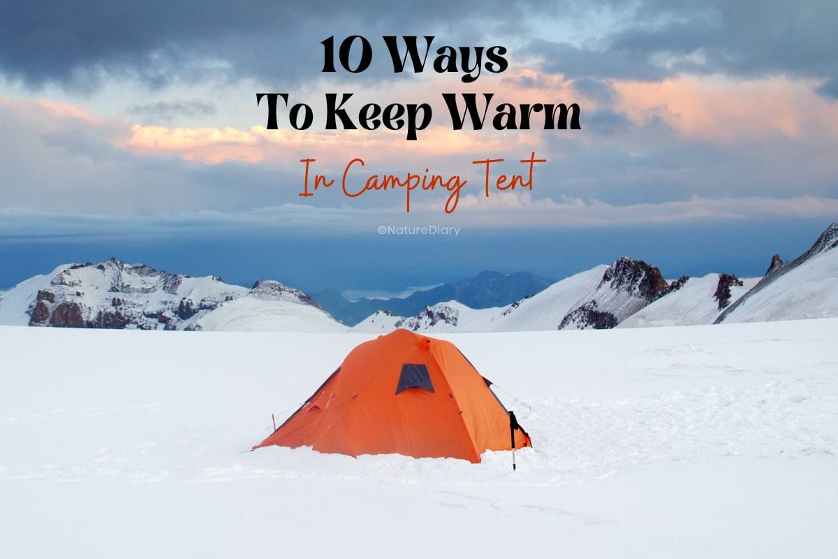 How to Keep Warm In A Camping Tent