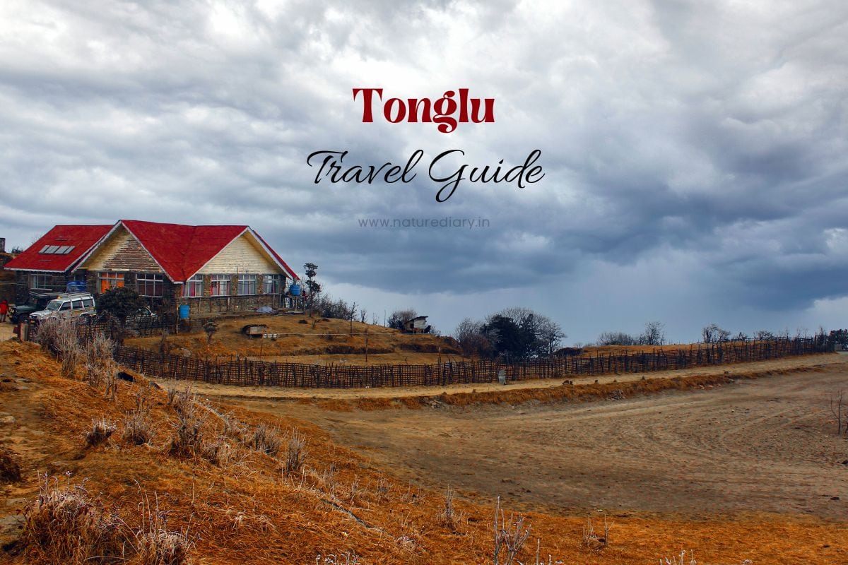 Tonglu Travel Guide