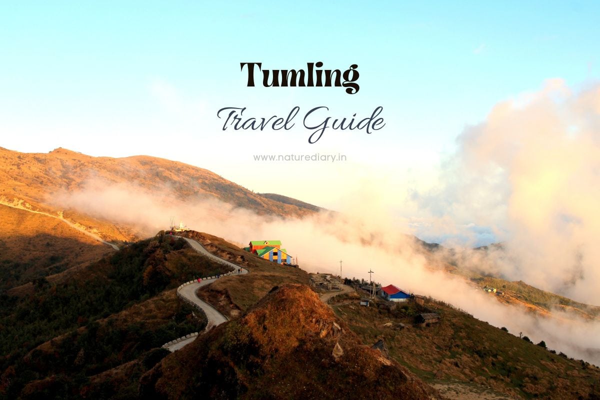 Tumling travel guide