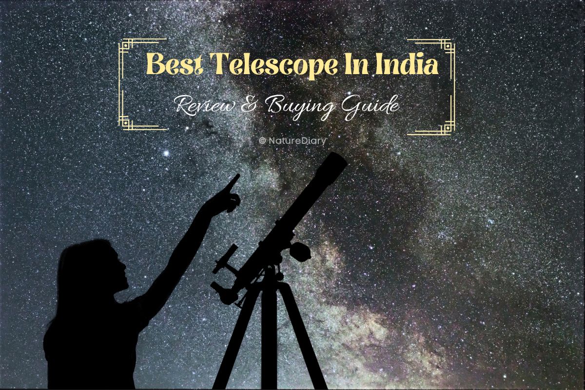 8 Best Telescopes in India For Viewing Planets & Galaxies (2023)