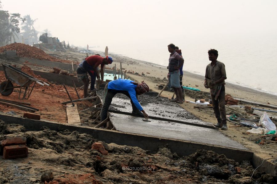 Construction of concrete dyke across the western shoreline near Poila Kheri, Mousuni