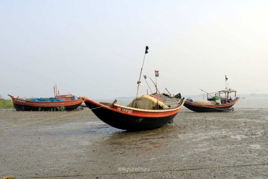 Fishing boats on Mousuni island