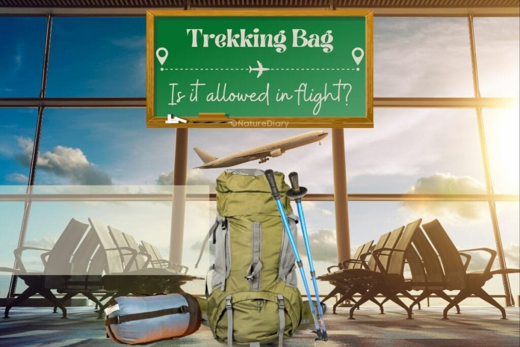 Is Trekking Bag Allowed In Flight