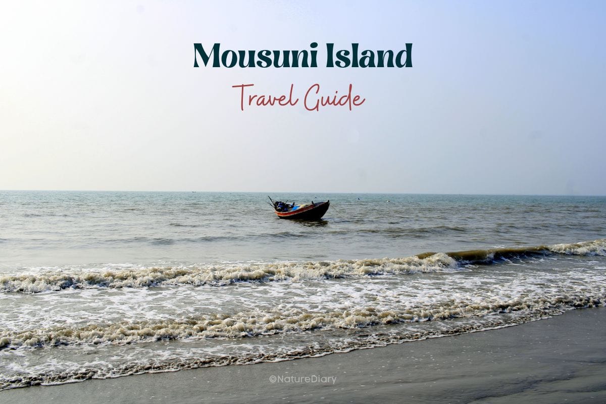 Mousuni Island travel guide