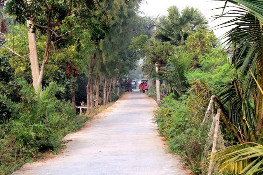 The Mousuni village road