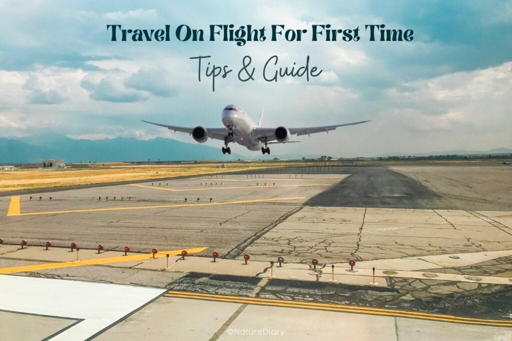 Travel On Flight For The First Time In India