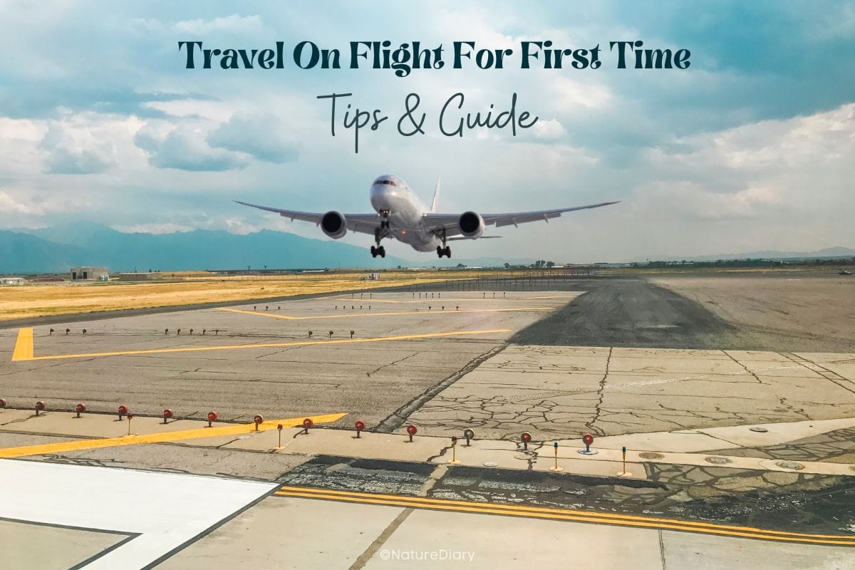 How To Travel On Flight For The First Time In India?