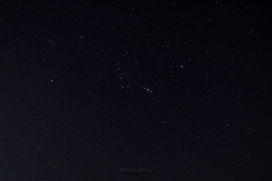 View of the Orion constellation from Mousuni island
